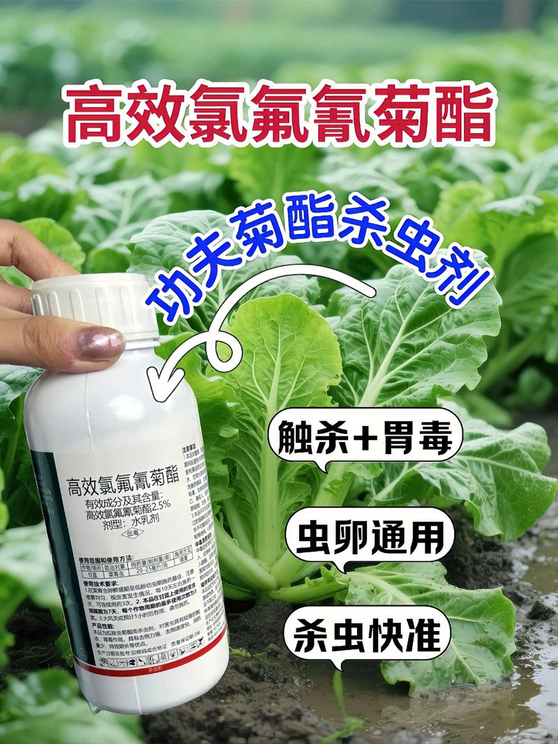 蚌埠代生中心:农药对供卵代生妈妈的危害